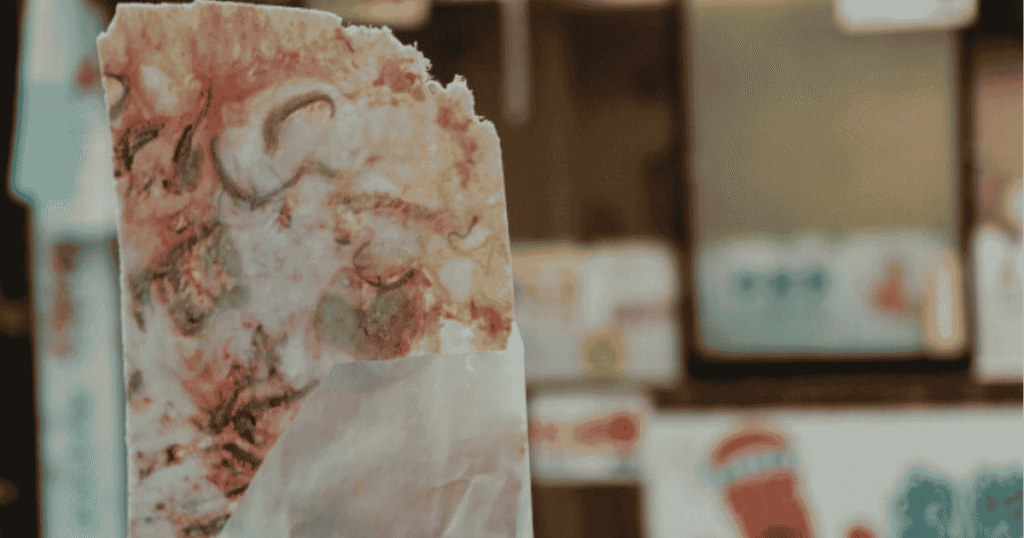 Enoshima Octopus Cracker