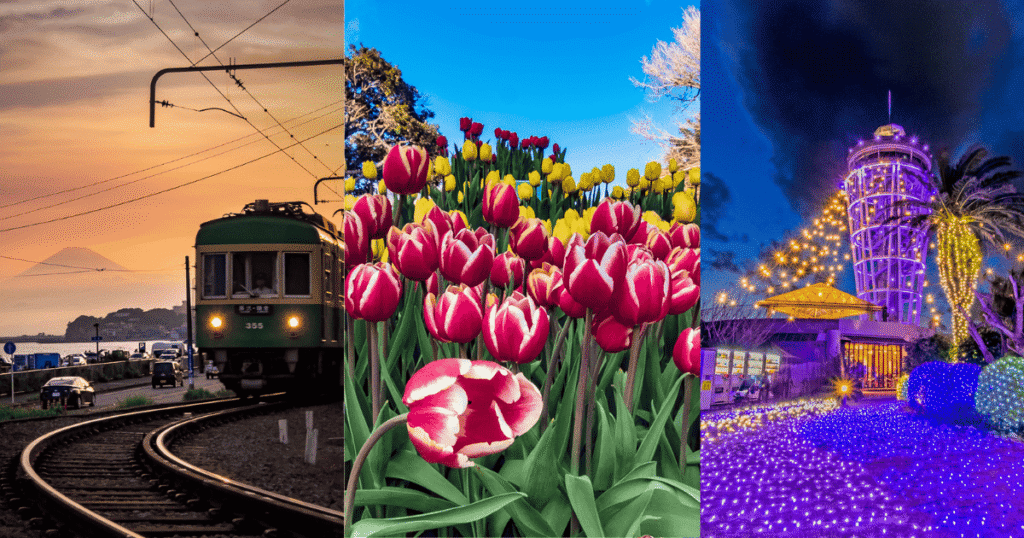 Landscape of the Enoshima area featuring the Enoden train, tulips in bloom, and the Enoshima Sea Candle lighthouse