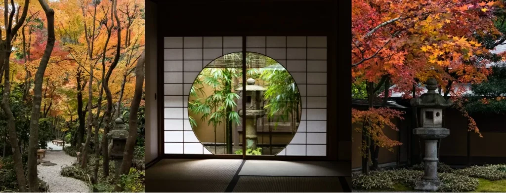 Autumn leaves in Kamakura