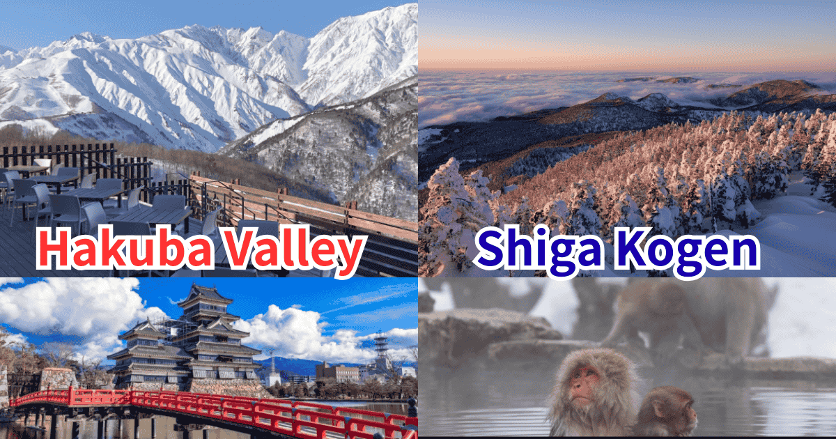 is hakuba or shiga kogen better?