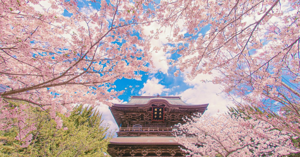 Kencho-ji Temple in Spring