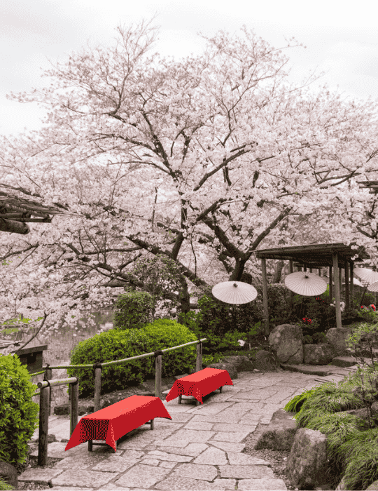 Tsurugaoka Hachimangu in Spring