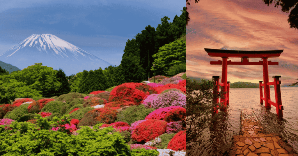 Torii Gate at Hakone Shrine & over 3,000 blooming azaleas at Hotel de Yama