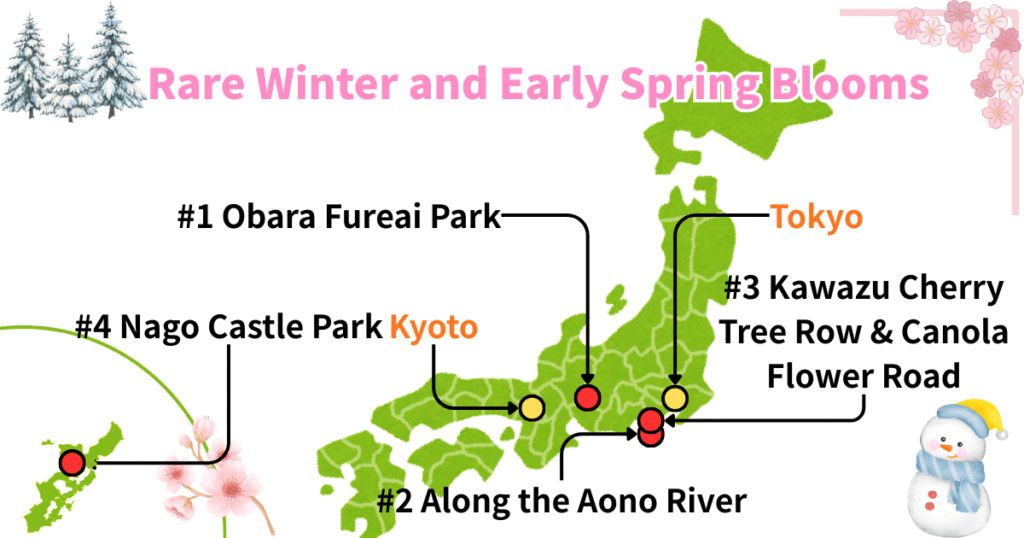 Map of rare winter and early spring cherry blossom spots in Japan, featuring Obara Fureai Park, Kawazu, and Nago Castle Park.