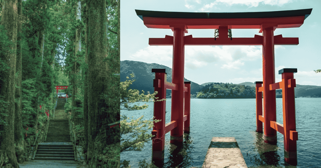 Hakone Shrine's Peace Torii gate early in the morning