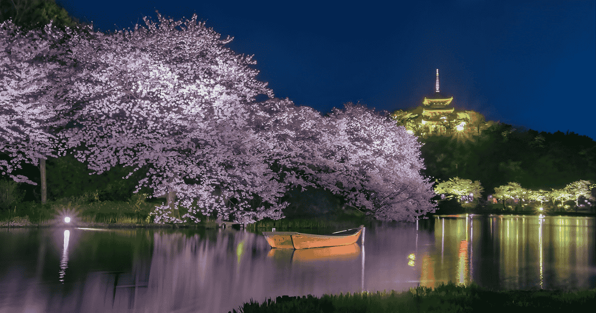 Cherry Blossom Illumination at Sankeien Garden