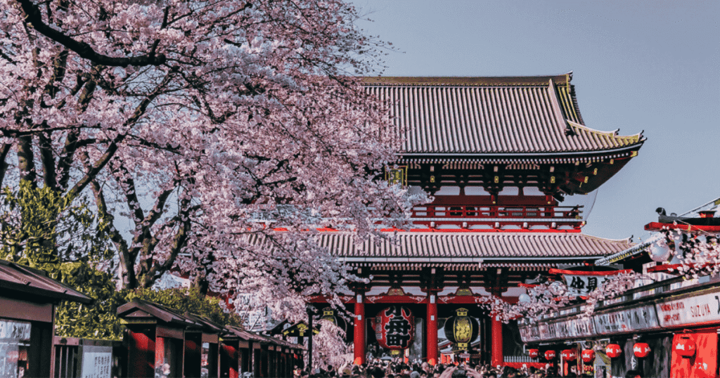 Sensoji Temple in Spring