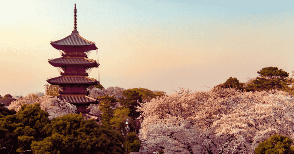 Cherry blossoms around the Five-Story Pagoda and enjoy the view from the observation deck at Ikegami Honmon-ji Temple.
