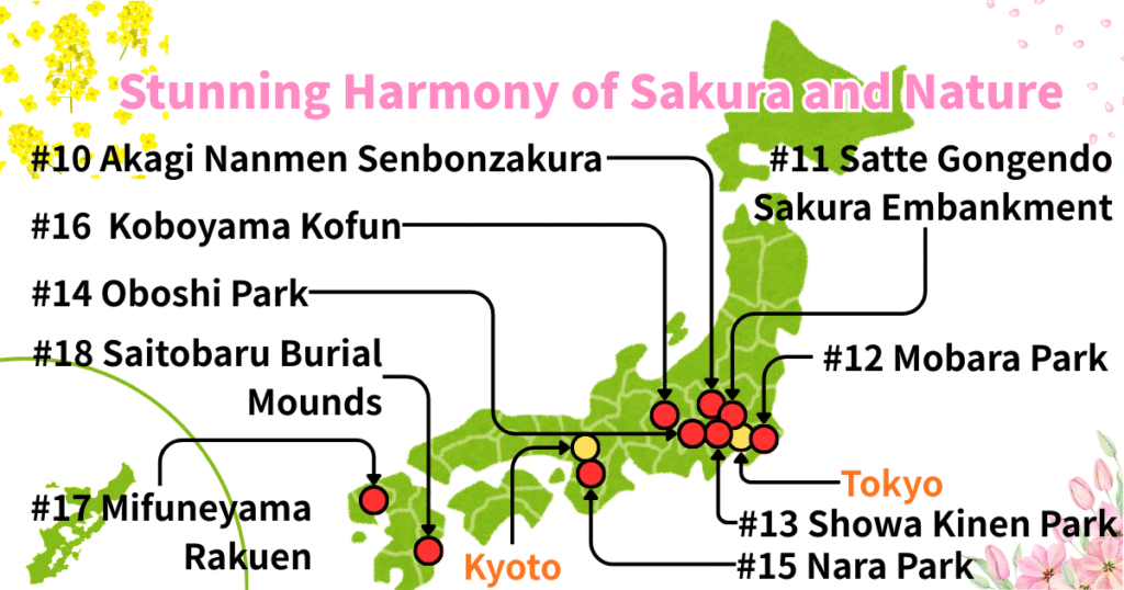 Map of cherry blossom spots in Japan titled "Stunning Harmony of Sakura and Nature," featuring 9 locations including Nara Park, Showa Kinen Park, and Mifuneyama Rakuen.