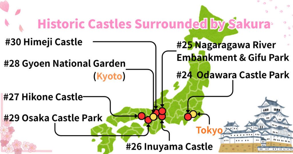 Historic castles Surrounded By Sakura