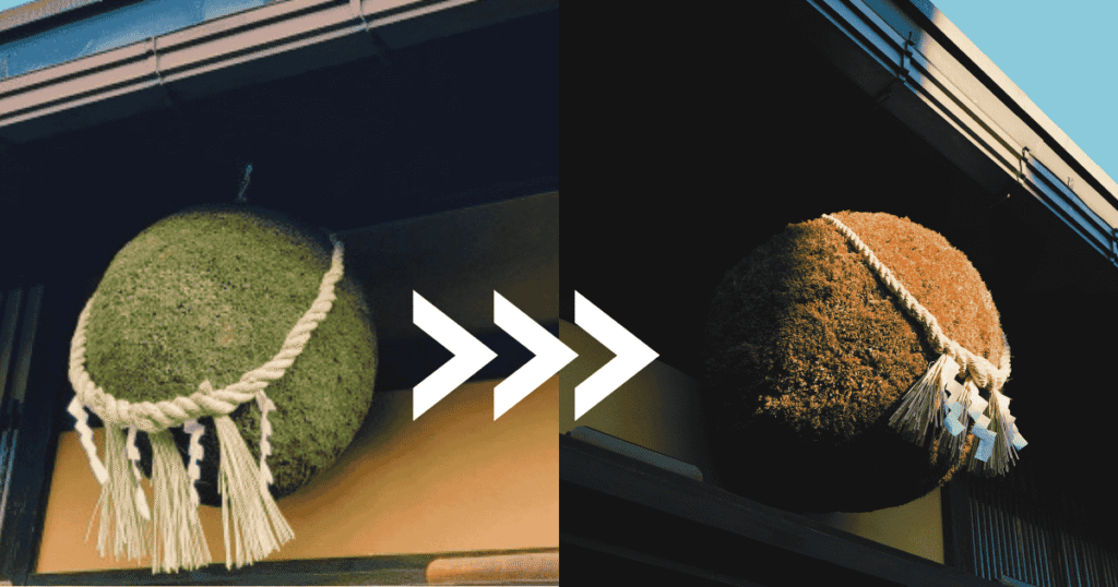 A large ball made of cedar leaves hanging outside