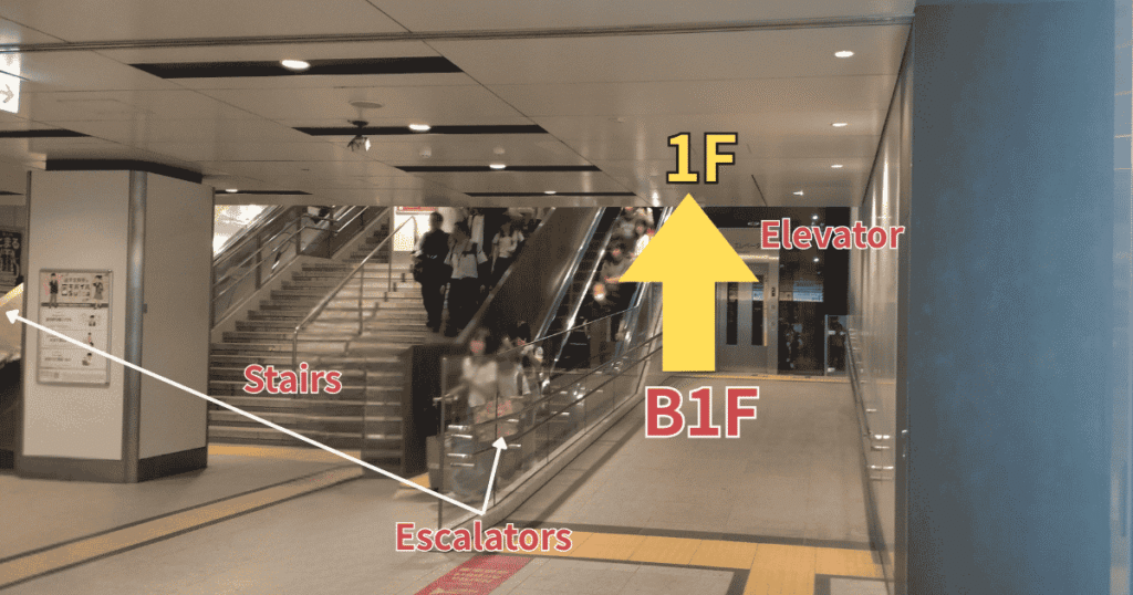 Stairs, escalators, and elevator going up from B1F to 1F at Tokyo Station Marunouchi area.