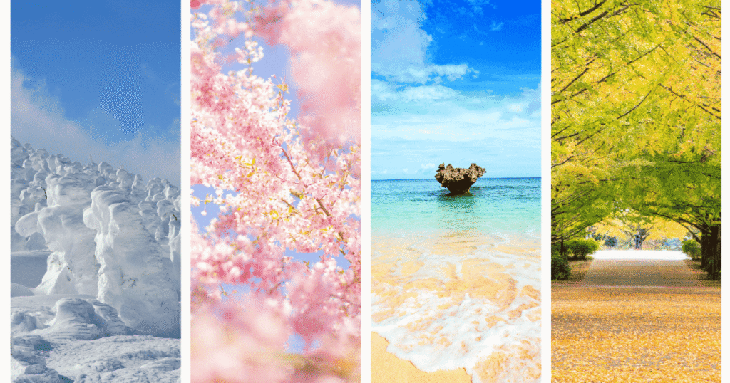Four panel image of Japan's seasonal scenery: winter snow monsters, spring cherry blossoms, a sunny summer beach, and autumn foliage.
